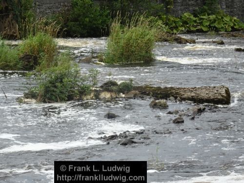 Ballysadare River